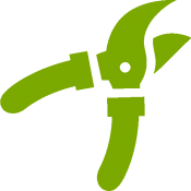 cuidados