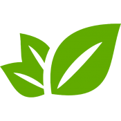 diseño